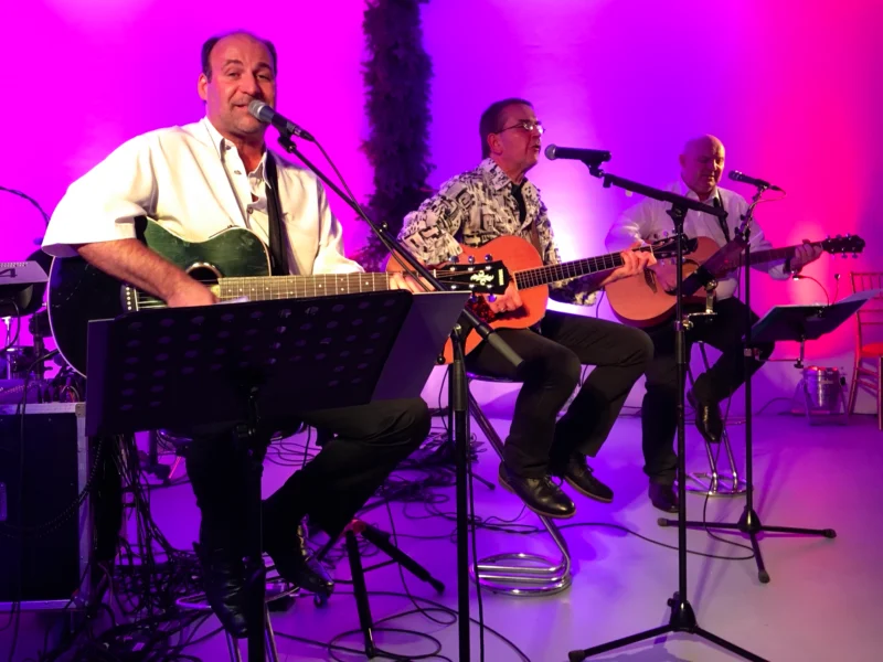 Amadors Trio Austropop